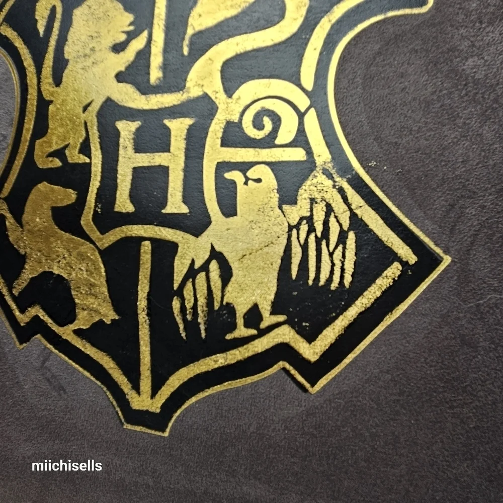 Harry Potter pillow